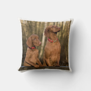 Cojín Decorativo grupo vizsla