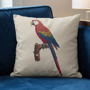Cojín Decorativo Guacamayo Escarlata o Guacamayo Macao, Ara macao