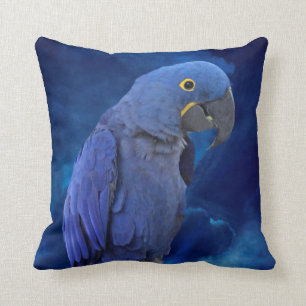 Cojín Decorativo Guacamayo Jacinto