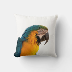 Cojín Decorativo Guacamayo loro