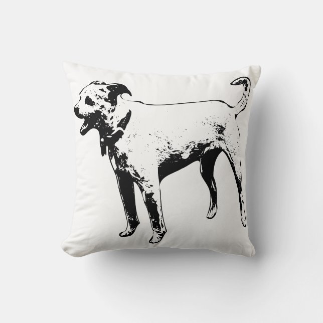 Cojín Decorativo Guardián de cosecha (Anverso)