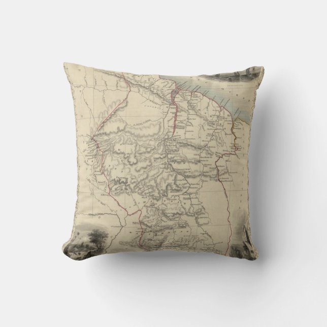 Cojín Decorativo Guayana británico (Anverso)
