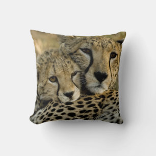 Cojín Decorativo Guepardo, Acinonyx jubatus, con cría en el Masai 2