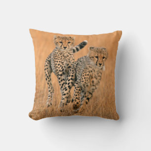 Cojín Decorativo Guepardos jóvenes (Acinonyx Jubatus) corriendo