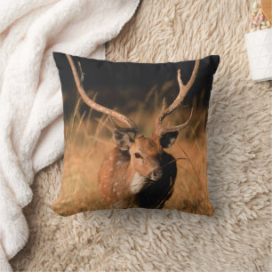 Cojín Decorativo Hábitat natural del chital   Parque nacional de Ba