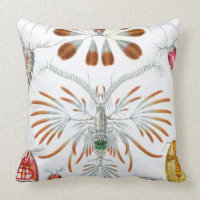 Haeckel Copepoda