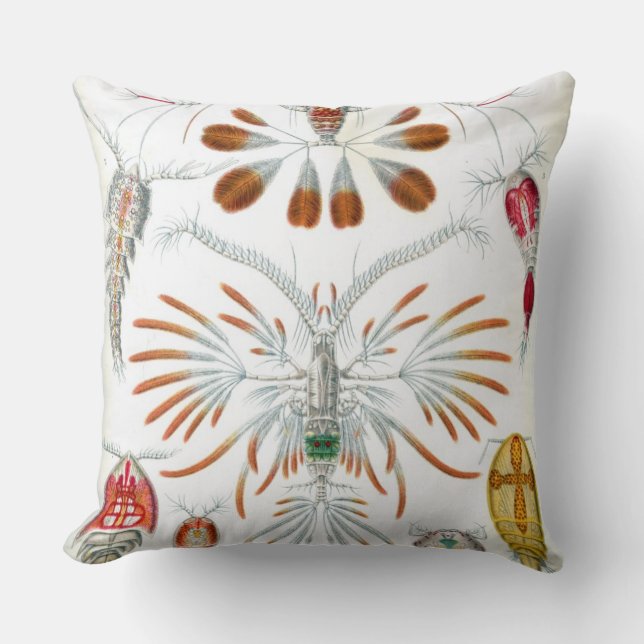 Cojín Decorativo Haeckel Copepoda (Anverso)