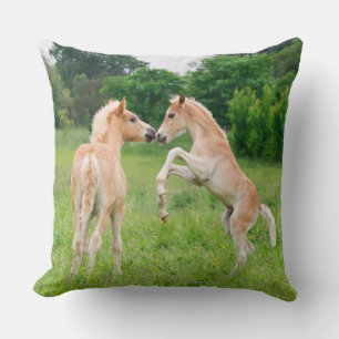 Cojín Decorativo Haflinger equinos lindos potros criando y jugando