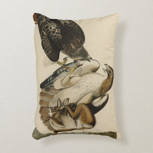 Cojín Decorativo Halcón de cola roja de Aves de América de Audubon