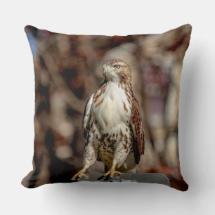 Cojín Decorativo Halcón rojo inmaduro