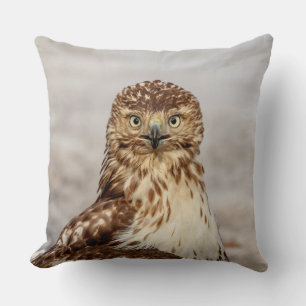 Cojín Decorativo Halcón rojo inmaduro en el suelo