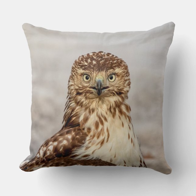 Cojín Decorativo Halcón rojo inmaduro en el suelo (Anverso)