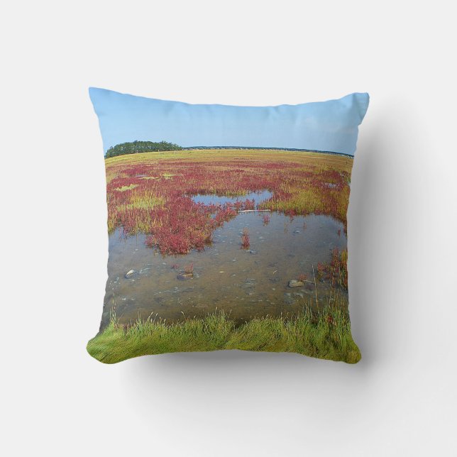 Cojín Decorativo Hammonasset Marsh Pillow (Anverso)