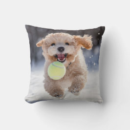 Cojín Decorativo 🐕 Happy Cream Poodle Puppy Tenis Pilaf