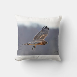 Cojín Decorativo Harrier septentrional