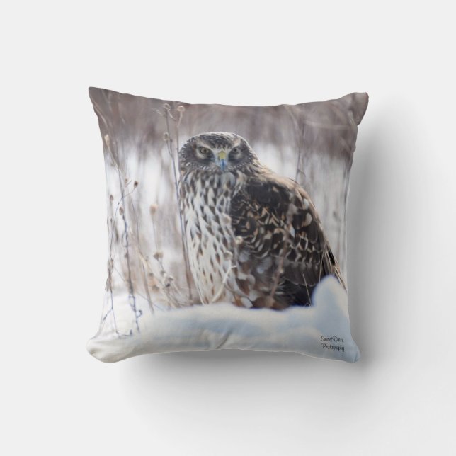 Cojín Decorativo Harrier septentrional (Anverso)