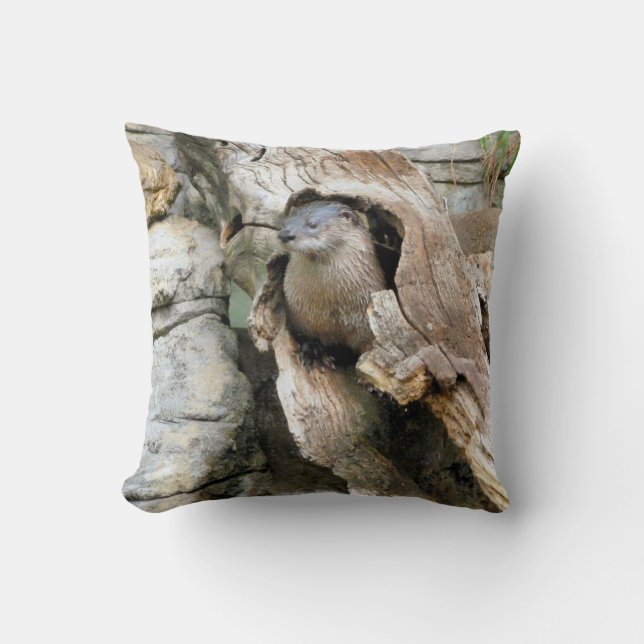 Cojín Decorativo Harry Nutria (Anverso)