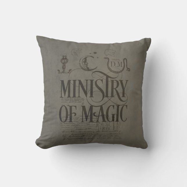 Cojín Decorativo Harry Potter Spell | MINISTERIO DE MÁGICA (Anverso)