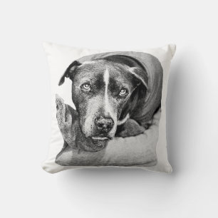 Cojín Decorativo Harvest Evening Companion