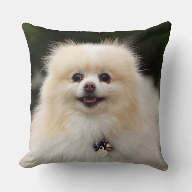 Cojín Decorativo Headshot 1 de Pomeranian (Anverso)