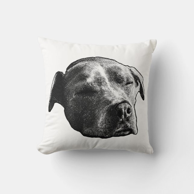 Cojín Decorativo Hearth Whisper (Anverso)