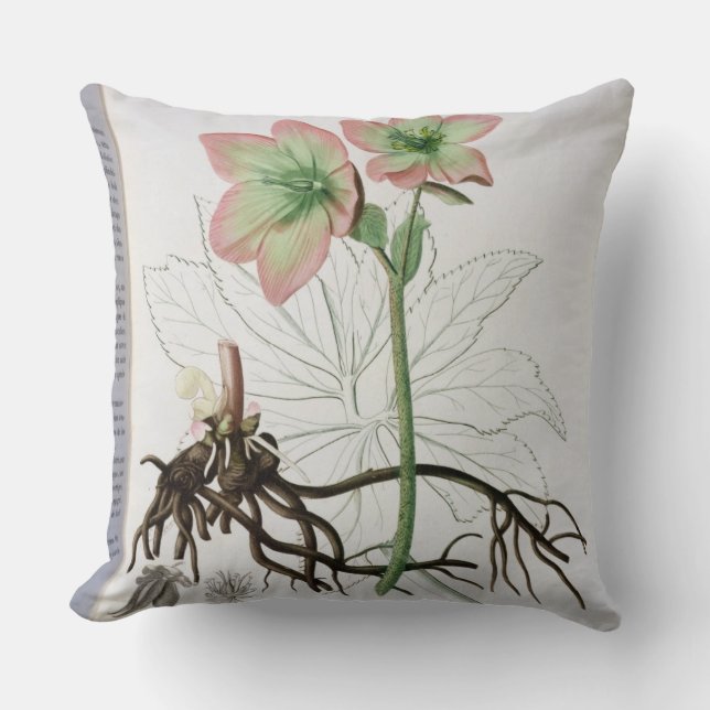Cojín Decorativo Helleborus Niger de "Phytographie Medicale" por J (Anverso)