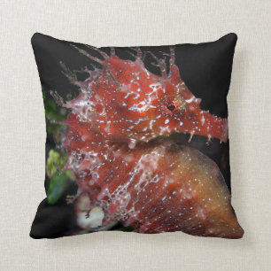 Cojín Decorativo Hembra Begur del potro del Seahorse el