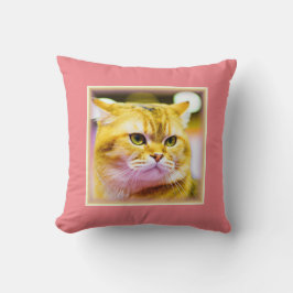 Cojín Decorativo Hermosa foto de un gato lindo. ¡Hazte con una en Z