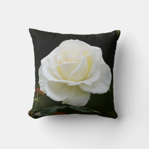 Cojín Decorativo Hermosa rosa blanca