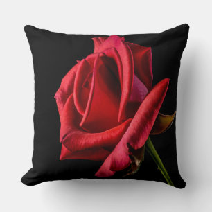 Cojín Decorativo Hermosa rosa roja brillante cerrada