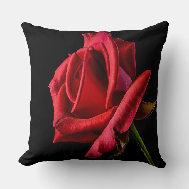 Cojín Decorativo Hermosa rosa roja brillante cerrada (Anverso)