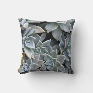 Cojín Decorativo Hermosa y exitosa foto de una planta