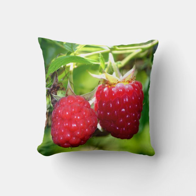 Cojín Decorativo Hermosas frambuesas frambuesas rojas frambuesas sa (Anverso)