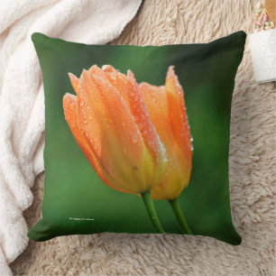 Cojín Decorativo Hermosas Tulipas Pastel Naranja Besadas por el Roc