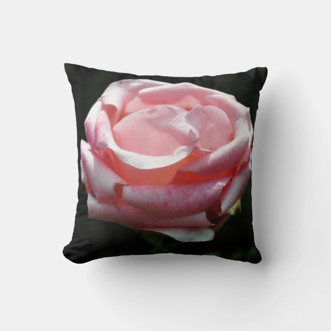 Cojín Decorativo Hermoso acercamiento rosa (Anverso)