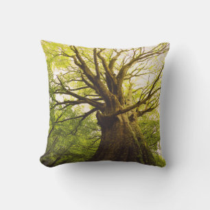 Cojín Decorativo Hermoso árbol de haya