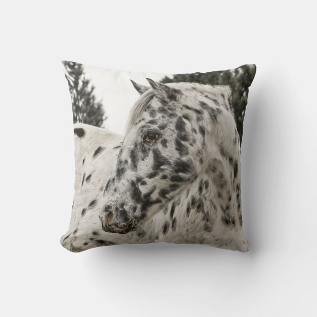 Cojín Decorativo Hermoso Caballo Appaloosa, Occidental (Anverso)