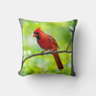 Cojín Decorativo Hermoso cardenal rojo brillante en un árbol