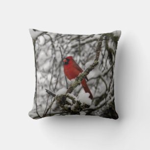 Cojín Decorativo Hermoso cardenal rojo en un árbol relleno de nieve