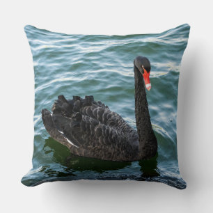 Cojín Decorativo Hermoso cisne negro