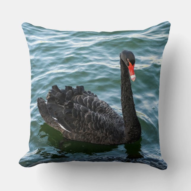 Cojín Decorativo Hermoso cisne negro (Anverso)