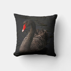Cojín Decorativo Hermoso cisne negro flotando en un río