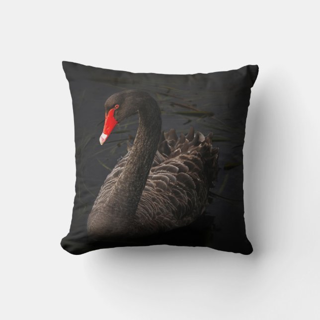 Cojín Decorativo Hermoso cisne negro flotando en un río (Anverso)