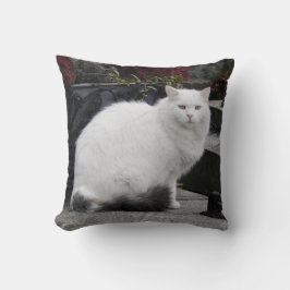 Cojín Decorativo Hermoso Gato Blanco En Una Tumba