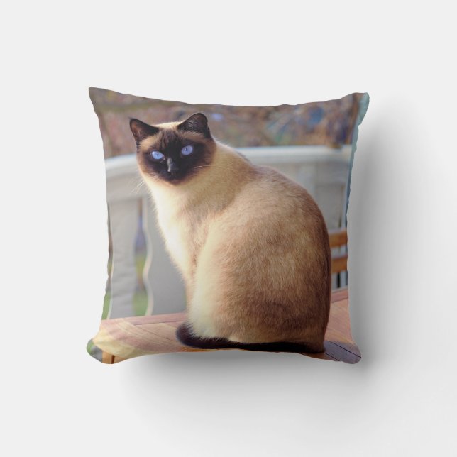 Cojín Decorativo Hermoso gato siamés con ojos azules (Anverso)