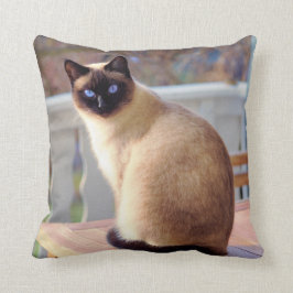 Cojín Decorativo Hermoso gato siamés con ojos azules