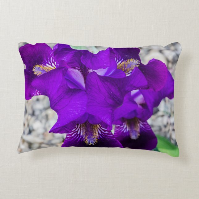 Cojín Decorativo Hermoso iris morado (Reverso)