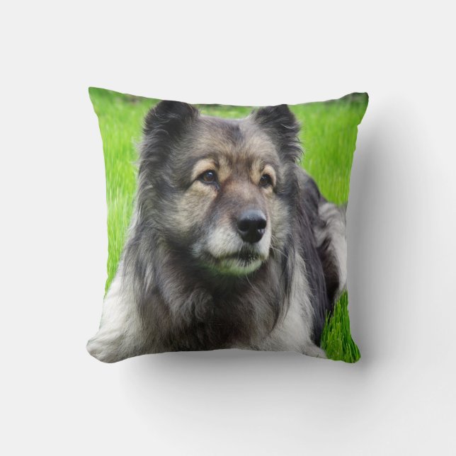 Cojín Decorativo Hermoso Keeshond (Anverso)