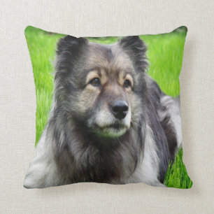 Cojín Decorativo Hermoso Keeshond