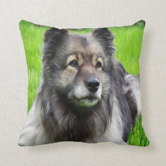 Cojín Decorativo Hermoso Keeshond